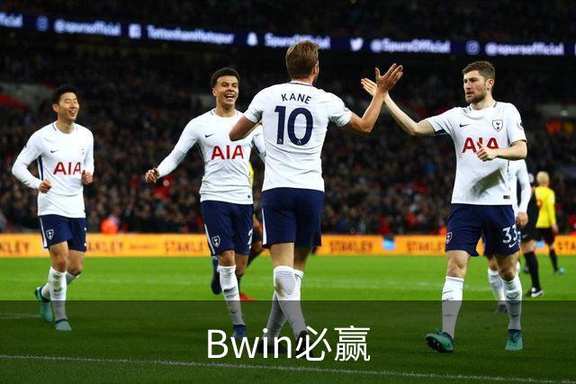Bwin必赢公司简介
